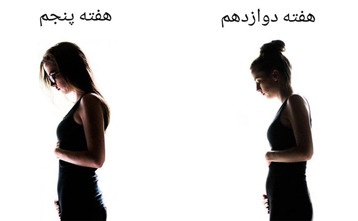 اندازه شکم در هفته 12 بارداری