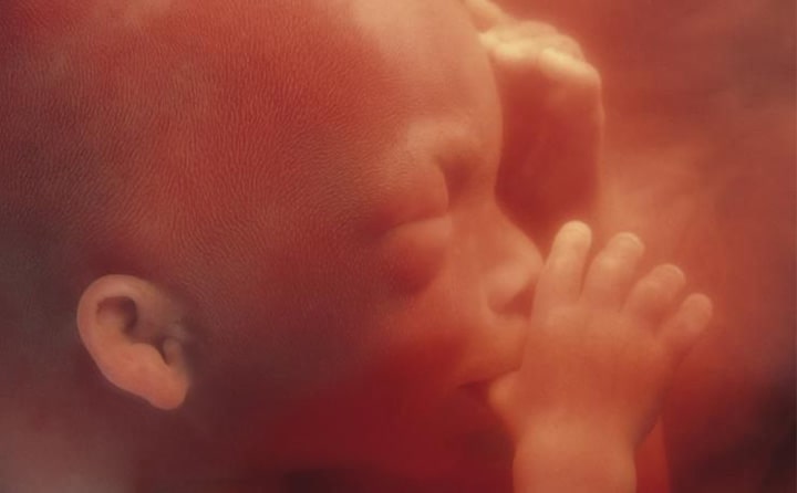 Nineteenth-week-of-pregnancy-1