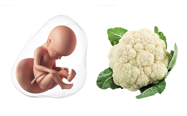 Twenty-fifth-week-of-pregnancy-3