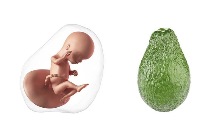 Sixteenth-week-of-pregnancy-4
