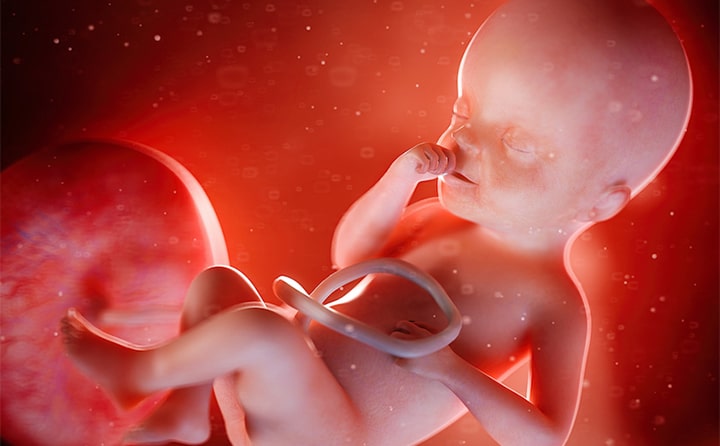 Twenty-fifth-week-of-pregnancy-4