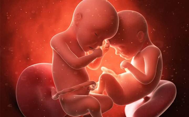 Twenty-fifth-week-of-pregnancy-5