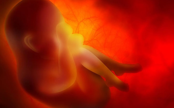 Sixteenth-week-of-pregnancy-5
