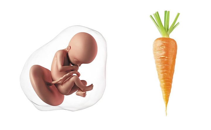 Twenty-first-week-of-pregnancy-5