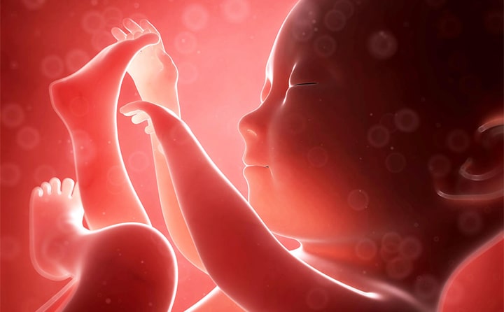 Twenty-second-weeks-of-pregnancy-5