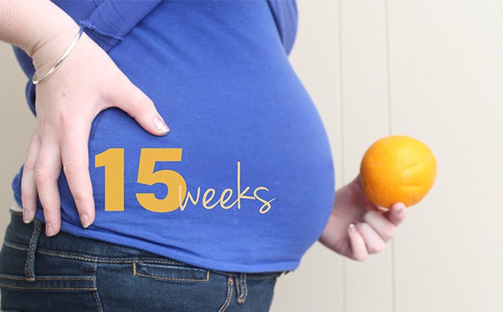 Fifteenth-week-of-pregnancy-5