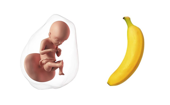 Twentieth-week-of-pregnancy-6