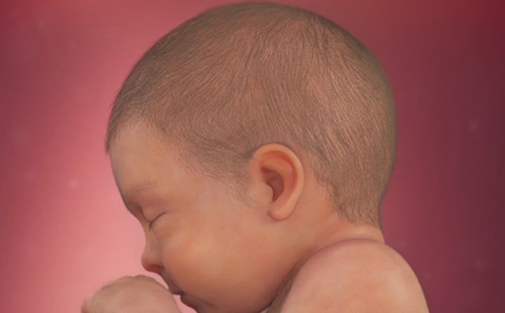 Twenty-first-week-of-pregnancy-6