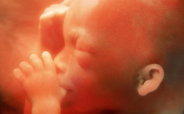 Twentieth-week-of-pregnancy-6