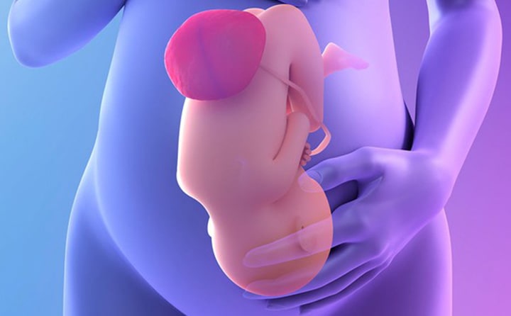 Twenty-first-week-of-pregnancy-7
