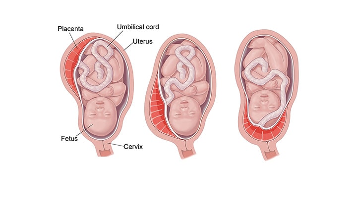Twenty-first-week-of-pregnancy-8