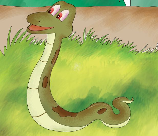 do-you-wonder-how-snakes-slither-story-8