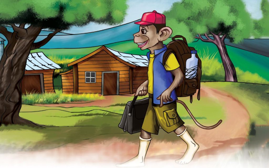 the-homeless-monkey-story-2