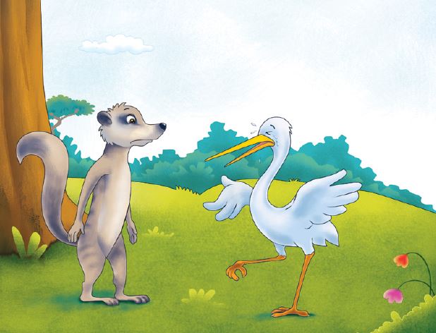 marty-mongoose-story-11