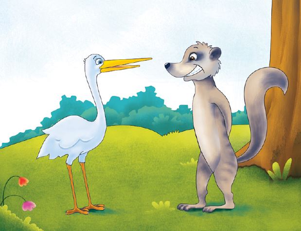 marty-mongoose-story-12