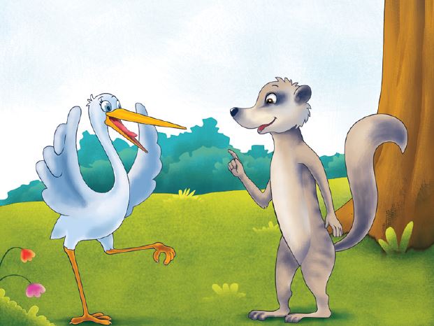 marty-mongoose-story-13