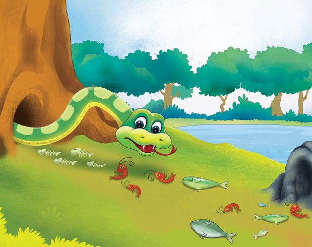 marty-mongoose-story-15