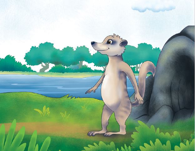marty-mongoose-story-16
