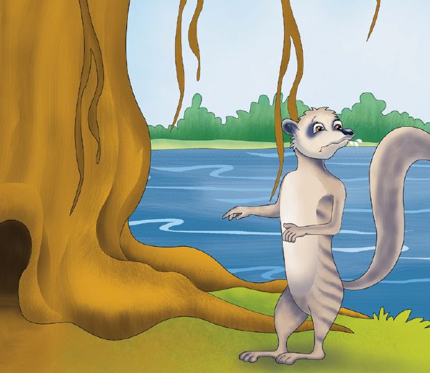 marty-mongoose-story-19