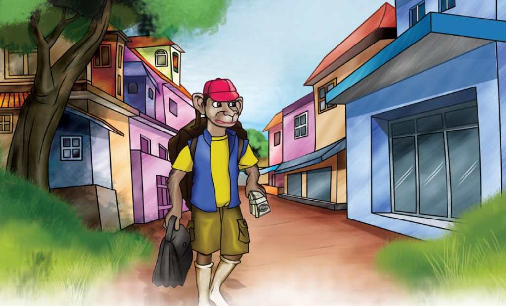 the-homeless-monkey-story-4