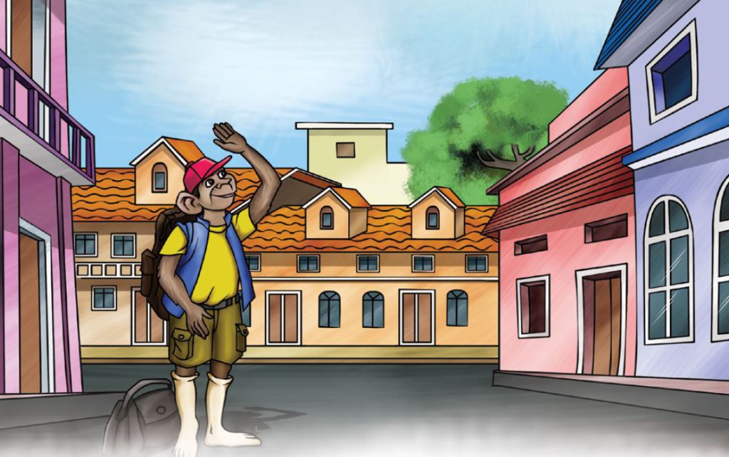 the-homeless-monkey-story-5