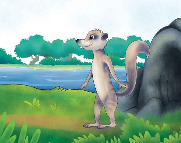 marty-mongoose-story-9