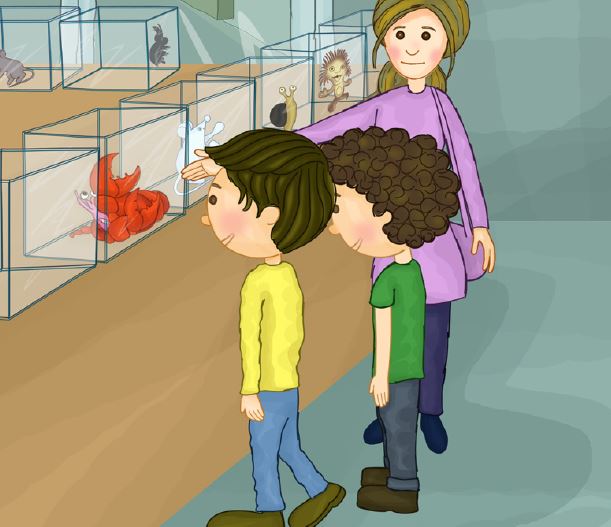hector-the-hermit-crab-story-9