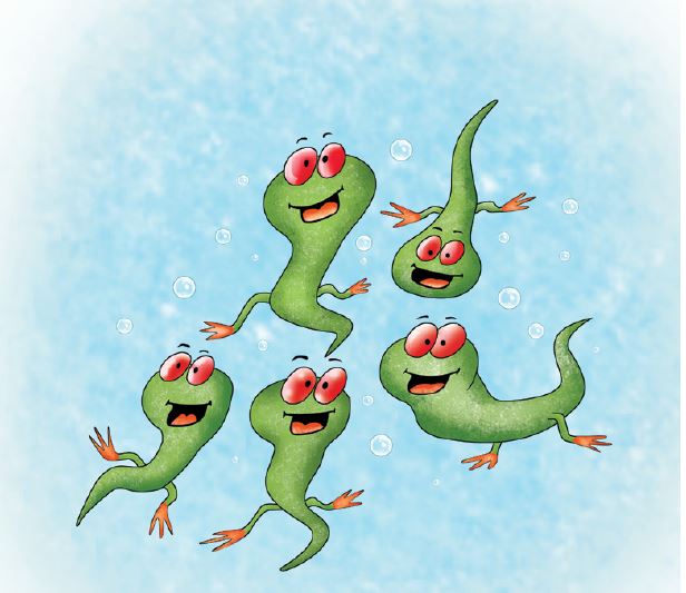 i-found-a-frog-story-9