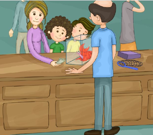 hector-the-hermit-crab-story-10