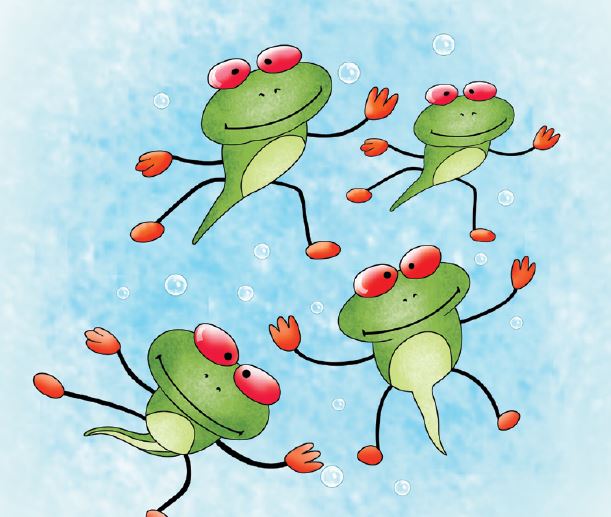 i-found-a-frog-story-10