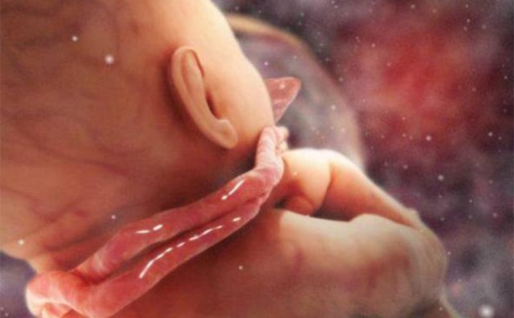 Thirty-first-week-of-pregnancy-10