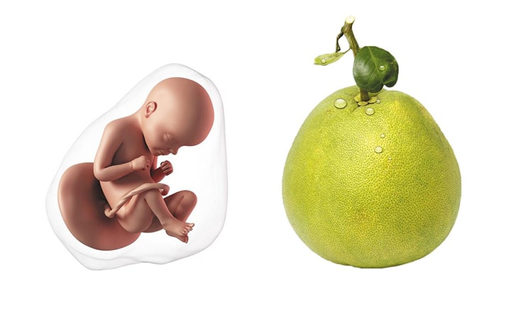 Twenty-ninth-week-of-pregnancy-4