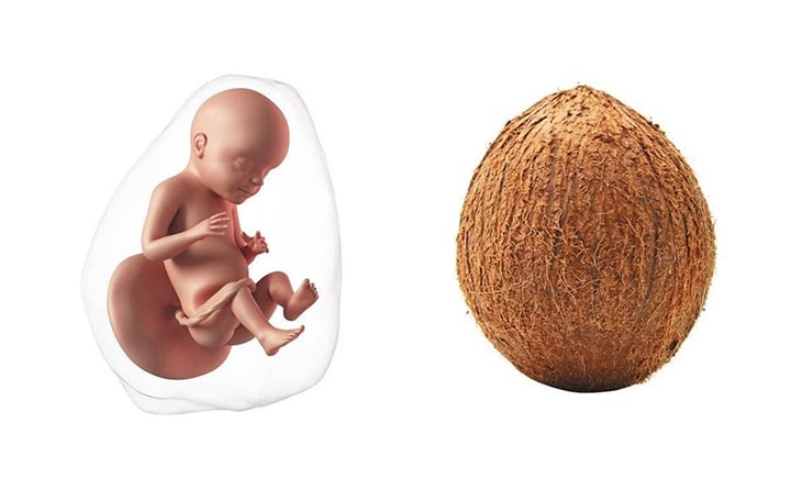 Thirty-third-week-of-pregnancy-4