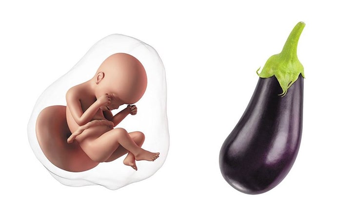 Twenty-seventh-week-of-pregnancy-5