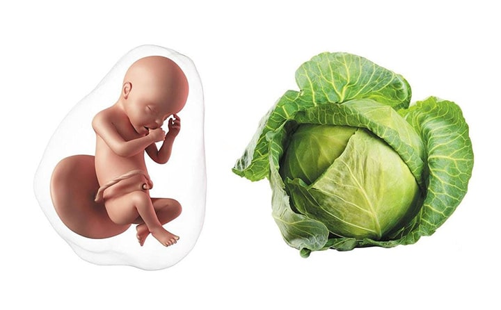 Twenty-eighth-week-of-pregnancy-5