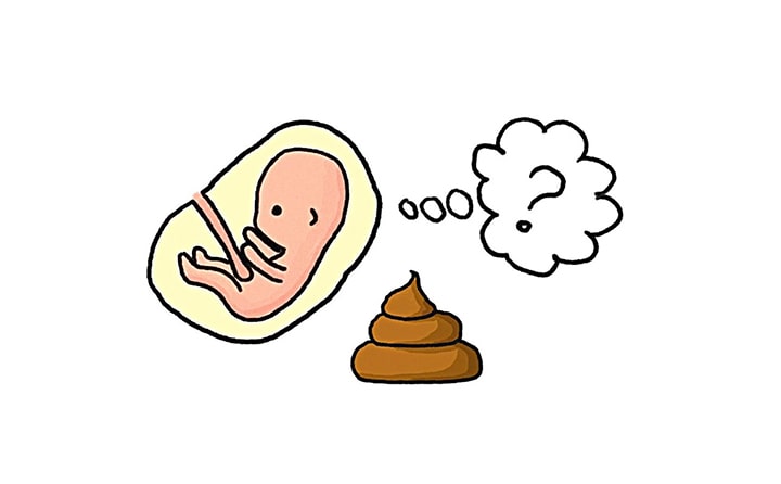 Twenty-ninth-week-of-pregnancy-5