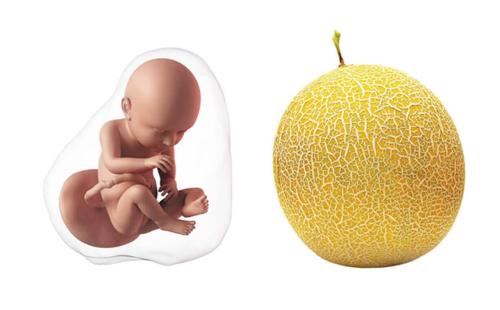 Thirty-first-week-of-pregnancy-5