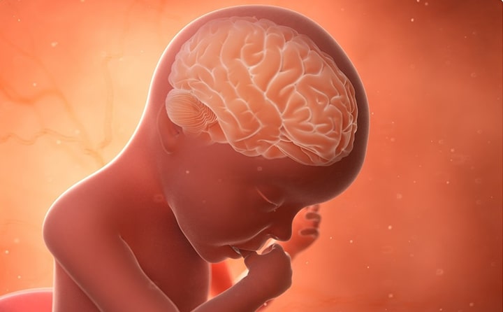 Thirty-third-week-of-pregnancy-5