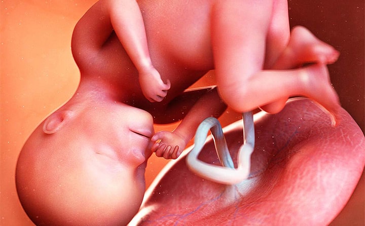 Twenty-eighth-week-of-pregnancy-6