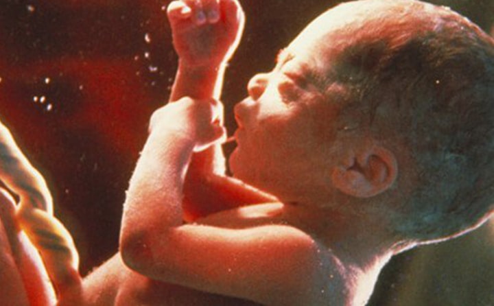 Thirty-second-week-of-pregnancy-6