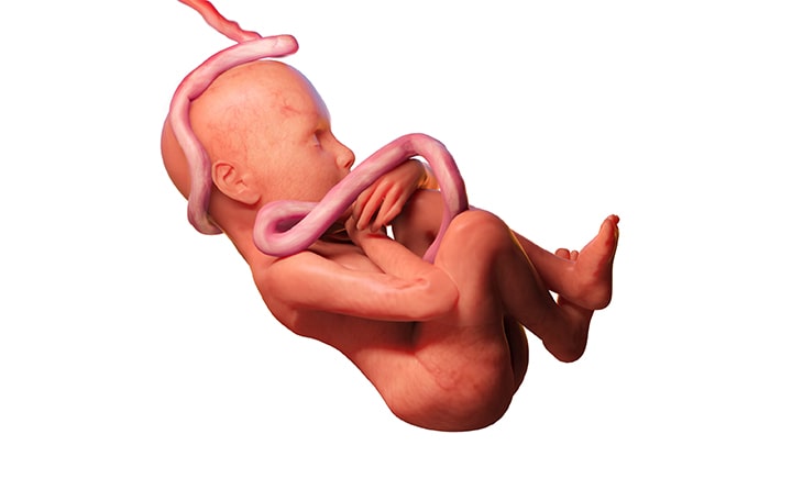 Thirty-first-week-of-pregnancy-8