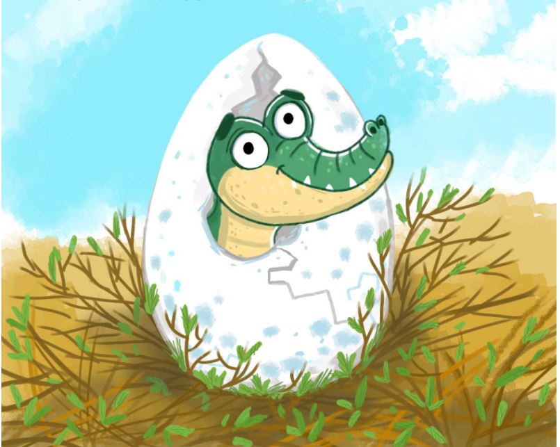 smile-crocodile-story-2