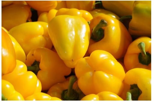 my-vegetable-friends-story-10