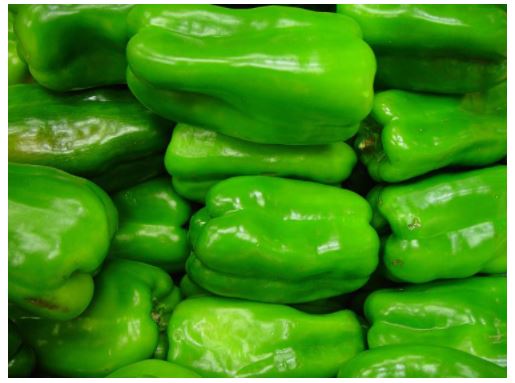 my-vegetable-friends-story-11