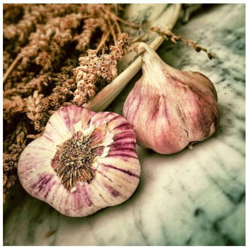 my-vegetable-friends-story-15