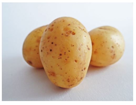 my-vegetable-friends-story-3