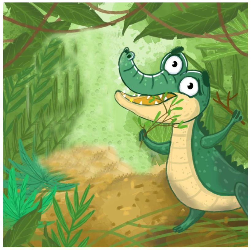 smile-crocodile-story-9