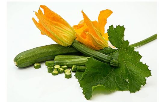 my-vegetable-friends-story-8