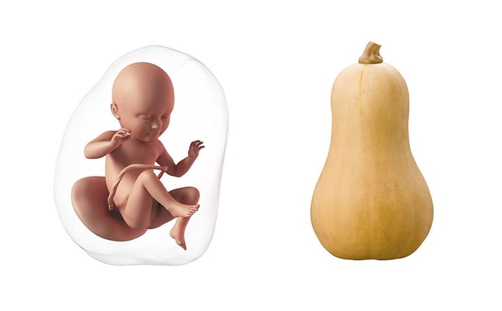 Thirty-fourth-week-of-pregnancy-4