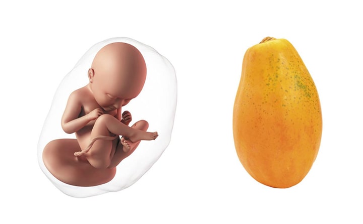 Thirty-sixth-week-of-pregnancy-5